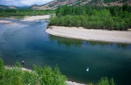 Eg Ur River Mongolia taimen fishing