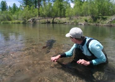 mongolia Taimen fly fishing